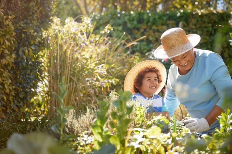 Allergy Symptoms From Plants and Grasses An older woman and child are outdoors gardening on a sunny day. They are wearing matching straw sunhats and the child looks up expectantly at the woman as she manipulates a plant while wearing yard work ready gloves.